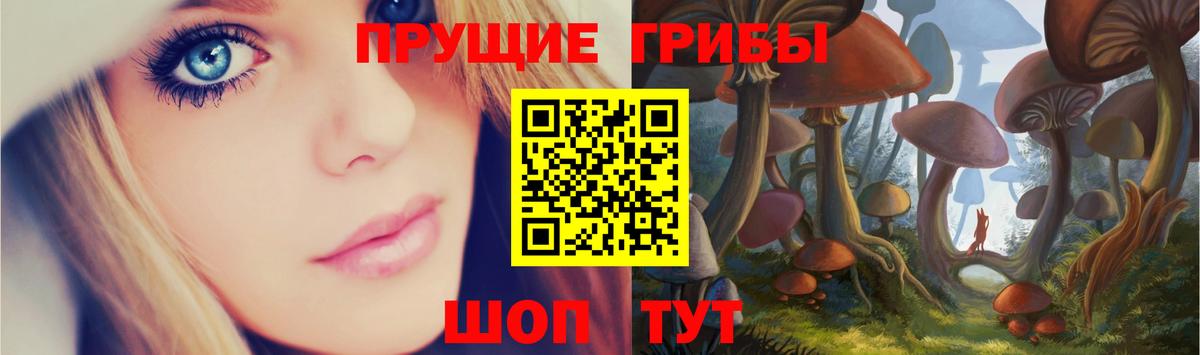 Галлюциногенные грибы ЛСД Ревда